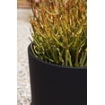 thumbnail image 4 of Veradek Mason Series Kona 10" Planter Black, 4 of 9