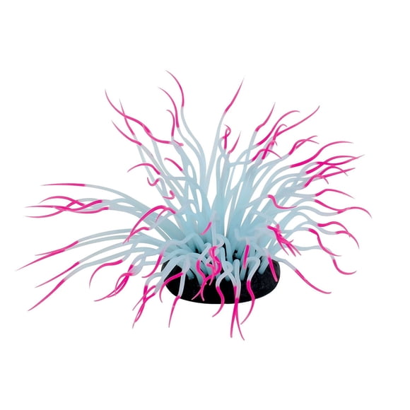 Penn-Plax, Pink Sea Anemone