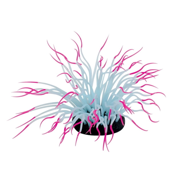 Penn-Plax, Pink Sea Anemone aquarium decoration with pale blue silicone tentacles tipped in bright pink on a black base, designed to sway with water movement in freshwater and saltwater tanks, providing fish with hiding and exploration spots.