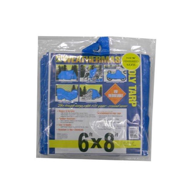 Dize PT2040D 20 x 40 ft. Blue Tarp