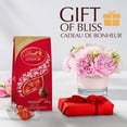 thumbnail image 3 of Truffes LINDOR au chocolat au lait de Lindt – Sachet (240 g), 3 of 9