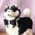 thumbnail image 4 of Pet Dog Leather Rhinestones Bow Knot Collar Crystals Bling Diamonds for Small Medium Large Dogs, 4 of 10