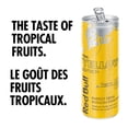 thumbnail image 4 of Red Bull Energy Drink, Tropical, 355ml, 4 of 6