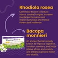 thumbnail image 4 of Brain Supplement for Memory, Focus, Cognitive Health, Rhodiola Rosea, Bacopa Monnieri, Multivitamin with Vitamin B Complex, Biotin, Magnesium, Iodine for Brain Function - 60 Capsules, 1 Pack, 4 of 7