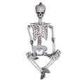 thumbnail image 2 of Boovnll Skeleton, Halloween Spooky House Dress Up Simulation Skull Skeleton Ghost Trick Props, Halloween Decorations, Halloween Skeleton, Skeleton Decor, 2 of 5