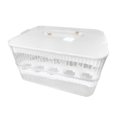 thumbnail image 2 of DOLITY Contenant à Oeufs Minuterie de Fraîcheur Support Plateau Empilable pour Oeufs Bacs Rangement d'Oeufs Frais 2 Couches et Blanc, 2 of 9