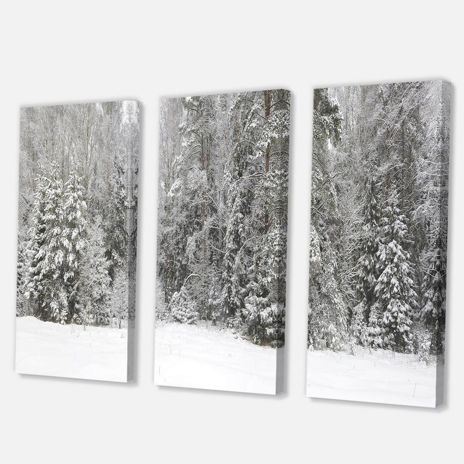 Designart Foggy Winter Forest Panorama Canvas Wall Art