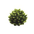 thumbnail image 1 of Coofit Artificial Succulent DIY Realistic Mini Unpotted Succulent Artificial Plant, 1 of 8