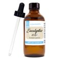 thumbnail image 1 of Eucalyptus 80/85 Essential Oil 4 fl oz Glass Bottle w/ Glass Dropper, 1 of 1