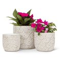thumbnail image 5 of Jardinière à Motif de Marguerites Blanches, 5 of 5