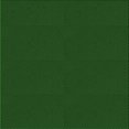 thumbnail image 1 of Ahgly Company Tapis d'Intérieur Lavables à la Machine, Carrés, Transitionnels, Verts, Tapis de Zone, 7 Pieds Carré, 1 of 7