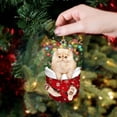 thumbnail image 2 of (2 Pack) Christmas Decorations Acrylic Stockings for Cats - Tree Hangs Festive Crafts Unique Holiday for Home Decoration, 2 of 4