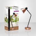 thumbnail image 2 of Xtricity Lampe de Bureau avec Tête flexible madison, 2 of 3