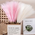 thumbnail image 3 of Wweixi 3piece Peaceful With Pampas Reed Decoration Downy And Durable Boho Decor Dark Pink 1Set, 3 of 6