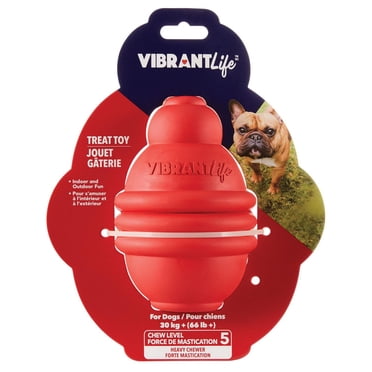 Vibrant Life Rubber, Large Red Treat Dispenser