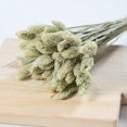 thumbnail image 2 of Coofit Dry Flower Branch DIY 24PCS Simple Natural Dried Grass Stem Dry Grass Decor, 2 of 8