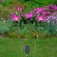 thumbnail image 5 of TIMIFIS Decorative Lights Solar Flower Lights Outdoor, Solar Flowers Garden Decorative Lights LED Stake Lights Auto On/Off Bright up to 8 Hrs Lighting & Ceiling, 5 of 5