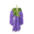 thumbnail image 1 of AMERTEER 12 Pieces (Each 45inch) Wisteria Artificial Flower Bushy Silk Vine Ratta Hanging, 1 of 3