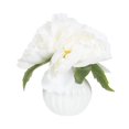 thumbnail image 1 of Enola Peonies in Ceramic Pot, 1 of 8