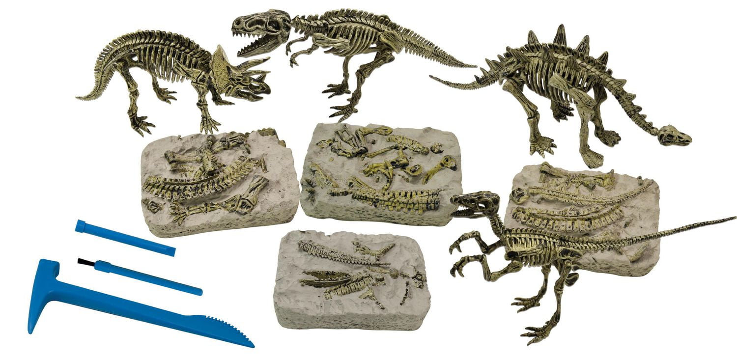 Science4you - Fossil Excavation 4 in 1