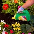 thumbnail image 5 of Miracle-Gro Shake N Feed All Purpose Plant Food 12-4-8 2.04 Kg, 5 of 5
