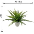 thumbnail image 3 of Mainstays 11.5in Indoor Artificial Plant in Pot, Green Color Fern, 3 of 5