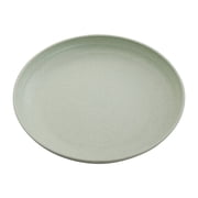 Durable Plastic Household Dinner Plates - Lightweight, Dishwasher-Safe Tableware for Fruits, Dumplings, and Meals
