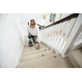 thumbnail image 2 of Aspirateur vertical Cleanview® Allergen Lift-Off® Pet de BISSELL®, 2 of 8