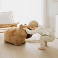 thumbnail image 5 of Wild & Soft Soft Bouncy Inflatable Animal Plush Toy - Capybara, 5 of 5