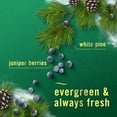 thumbnail image 3 of Febreze Plug In Air Freshener, Odor-Fighting Scented Oil Refill, White Pine & Berry, 4 Refill, 3 of 19