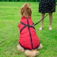 thumbnail image 2 of Pet Dog Jacket With Harness Windproof Winter Pet Dog Padded Coat Clothes, 2 of 6