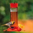 thumbnail image 3 of Abreuvoir à orioles Fruit Trio de Perky-Pet, 3 of 3