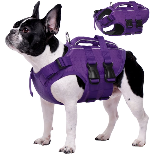 Kuoser Dog Life Jacket in purple, shown on a medium-sized dog. The reflective and adjustable life vest features a rescue handle, heavy-duty buckles, and a D-ring leash hook. Made from waterproof and breathable ripstop oxford cloth with high-density pearl cotton foam for flotation. Designed for small, medium, and large dogs, suitable for activities like swimming, kayaking, and boating.