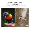 thumbnail image 2 of Miangastore 2Pcs Plastic Birds Shower Basins Parrot Washing Boxes Multifunction Pet Basins (Green), 2 of 8