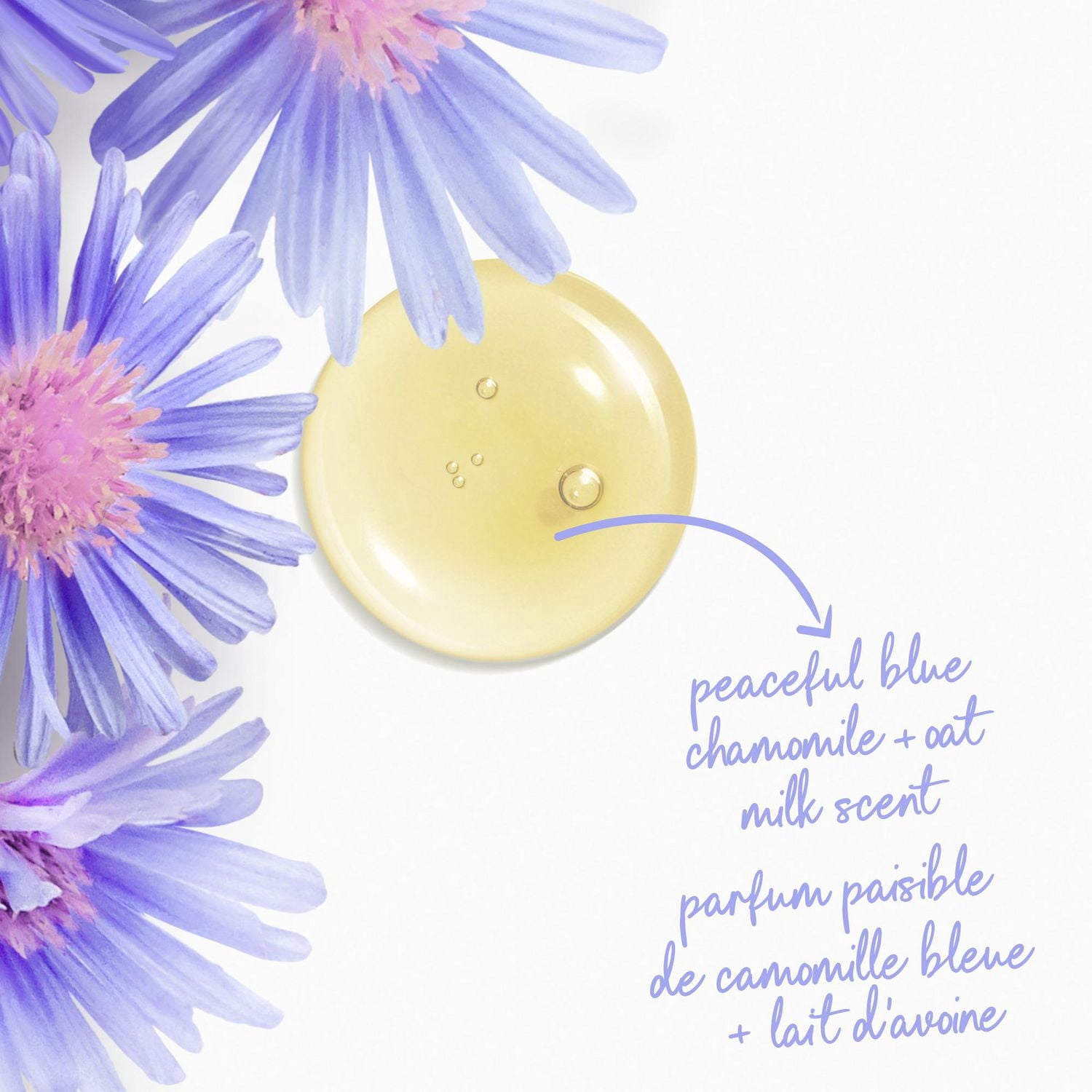 Dove Nettoyant Corporel pour 24 H de Peau Douce Camomille Bleue et Lait d'Avoine Anti-Stress, 905 ml