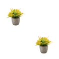 thumbnail image 1 of Decodeary Green Eco-friendly Artificial Money Tree In Pot Long-lasting Durability Realistic Appearance orange rose 2Set, 1 of 6