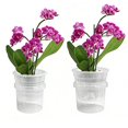 thumbnail image 4 of Pots Auto-Arrosants pour Plantes d'Intérieur avec Réservoir Profond et Grands Trous de Drainage pour Plantes et Fleurs d'Extérieur, Jardinière à Racines Nues, 4 of 8