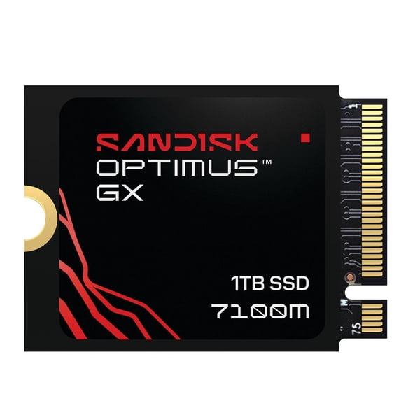 Sandisk Optimus GX 7100M 1TB PCIe Gen 4 M.2 2230 SSD