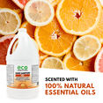 thumbnail image 3 of Hand Sanitizer Gel Refill, 4 Litres, Citrus Scented, 3 of 7