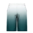 thumbnail image 2 of Plebaso Men's Gradient Color Shorts Casual Lightweight Beachwear Shorts Summer Classic Drawstring Shorts, 2 of 4
