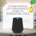 thumbnail image 3 of Air Wick Essential Mist Refill 2ct Pumpkin Spice Fall Scent Essential Oils Air Freshener, 3 of 5