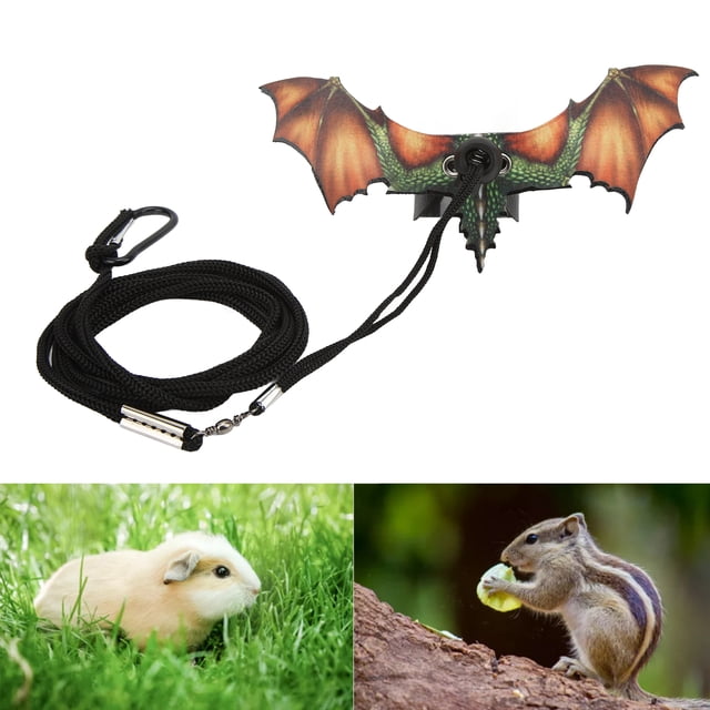 Bearded Dragon Lizard Leash Harness, Leash Adjustable Leather Lizard Reptiles Harness Leash For Amphibians And Other Small Pet Animals Sugar Glider Harness And Leash Set