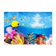 thumbnail image 2 of CBFFDC Easy to Apply Fish Backdrop Double Sided 3D Aquarium Background Clear Print Underwater World Fish Tank Decoration Poster, 2 of 7