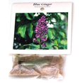 thumbnail image 3 of Hawaiian Flower Plant Roots - Bamboo Orchids - Hibiscus - Ginger -Ti Logs (Blue Ginger Root), 3 of 4