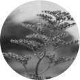thumbnail image 1 of Ahgly Tapis d'Intérieur Lavable en Machine Carré Gris Foncé, 3 Pieds Carré, 1 of 7