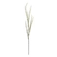 thumbnail image 1 of Vickerman FM180101 50 in. Green Mountain Prunus Stem, 1 of 5
