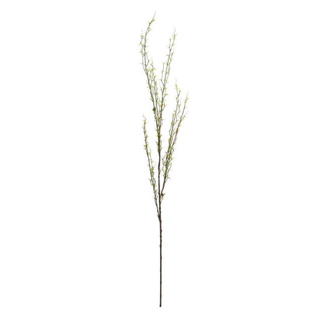 Vickerman FM180101 50 in. Green Mountain Prunus Stem