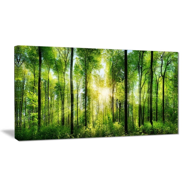 Design Art Forest with Rays of Sun Panorama Landscape Canvas Print, a 60 by 28 inch gallery wrapped canvas depicting a green forest with sun rays filtering through tall trees, printed on high-quality cotton canvas with a 1 inch wood subframe, ready to hang with included hardware, suitable for enhancing home or office wall décor.