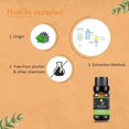thumbnail image 3 of KRIAA Goodness Peppermint Essential Oil 10ml with Dropper, 3 of 6