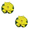 thumbnail image 2 of QualitChoice Artificial Lotus Replacement Simulation Outdoor Garden Park Pond Pool Photography Fake Water Flower Decor Yellow 2PCS, 2 of 6